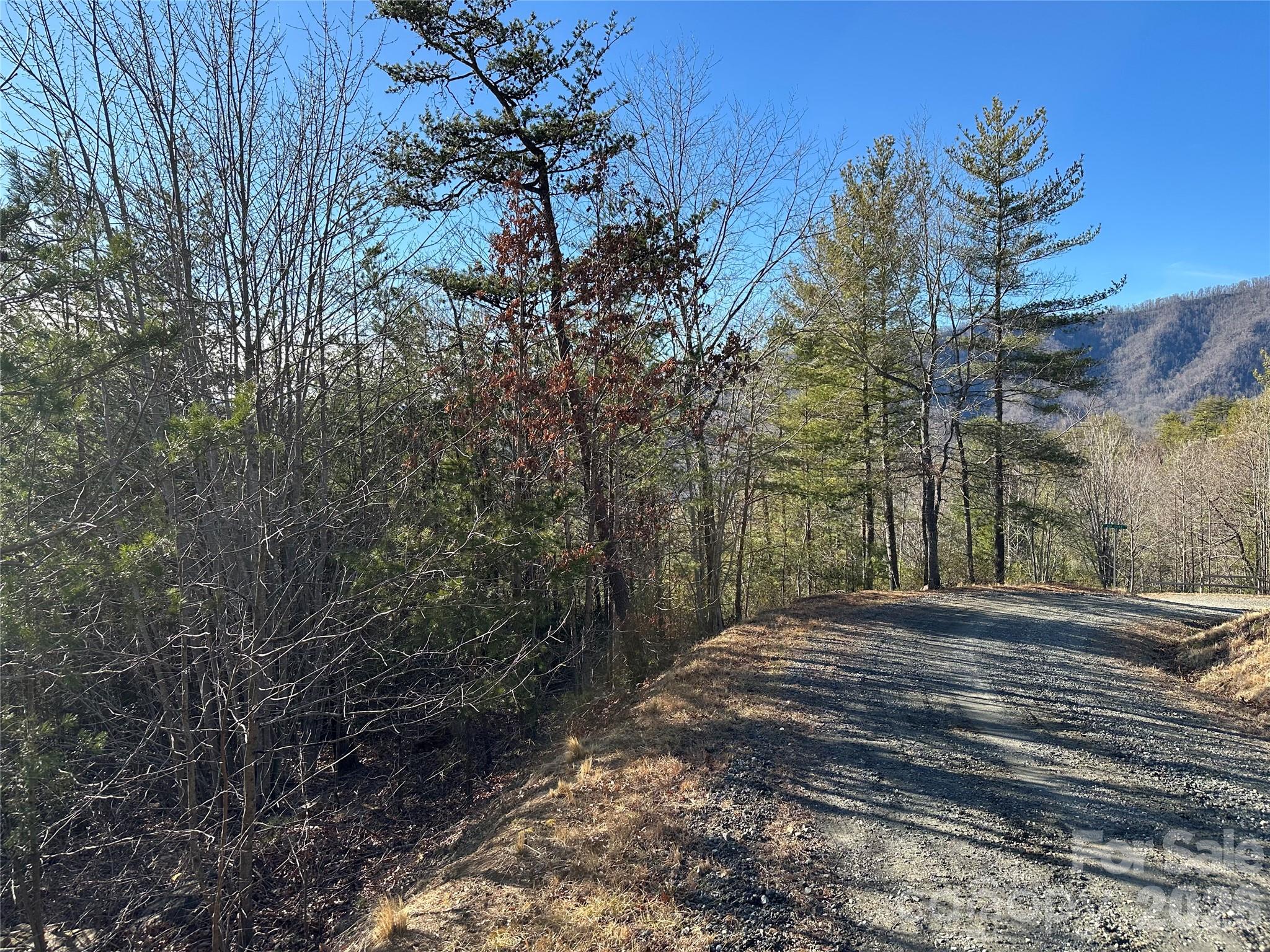 0 Fox Ridge Trail, Unit 57 Marion, NC 28752 - Photo 1 of 16 a view of a yard with plants and trees