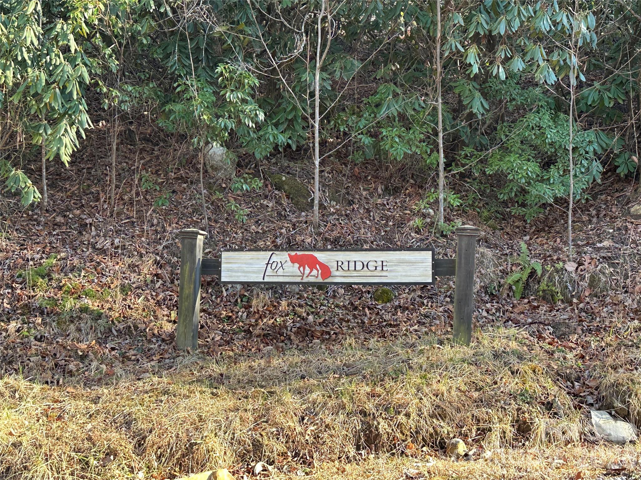 0 Fox Ridge Trail, Unit 57 Marion, NC 28752 - Photo 12 of 16 a flag is sitting in the middle of forest