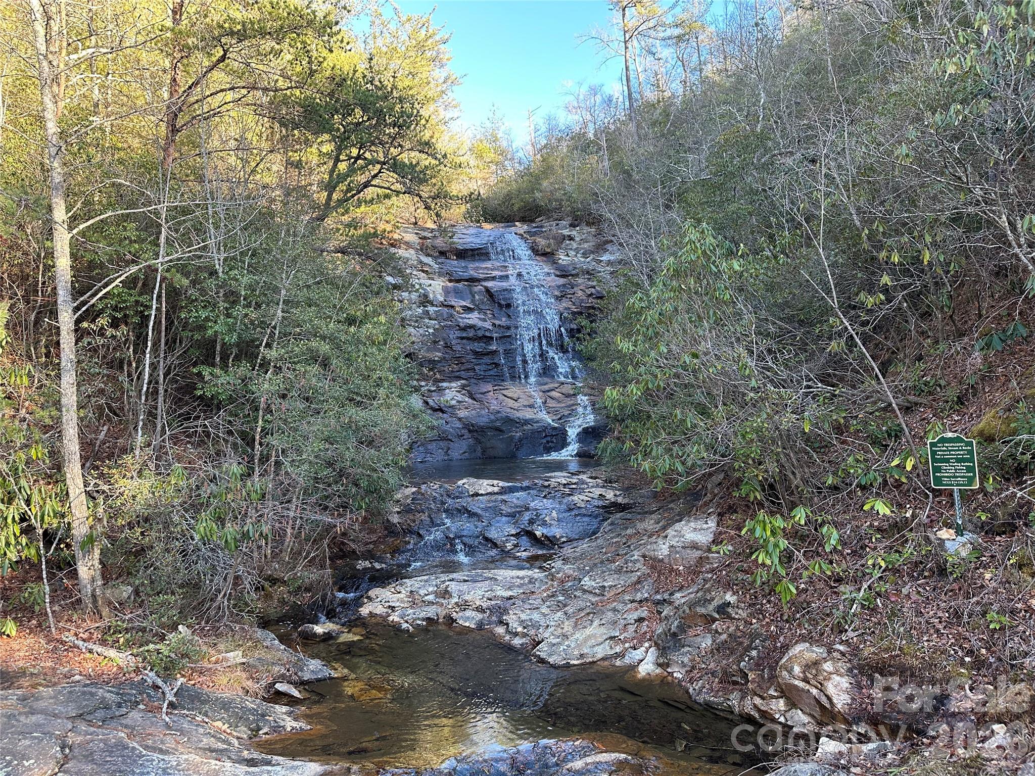 0 Fox Ridge Trail, Unit 57 Marion, NC 28752 - Photo 13 of 16 a view of a forest with trees