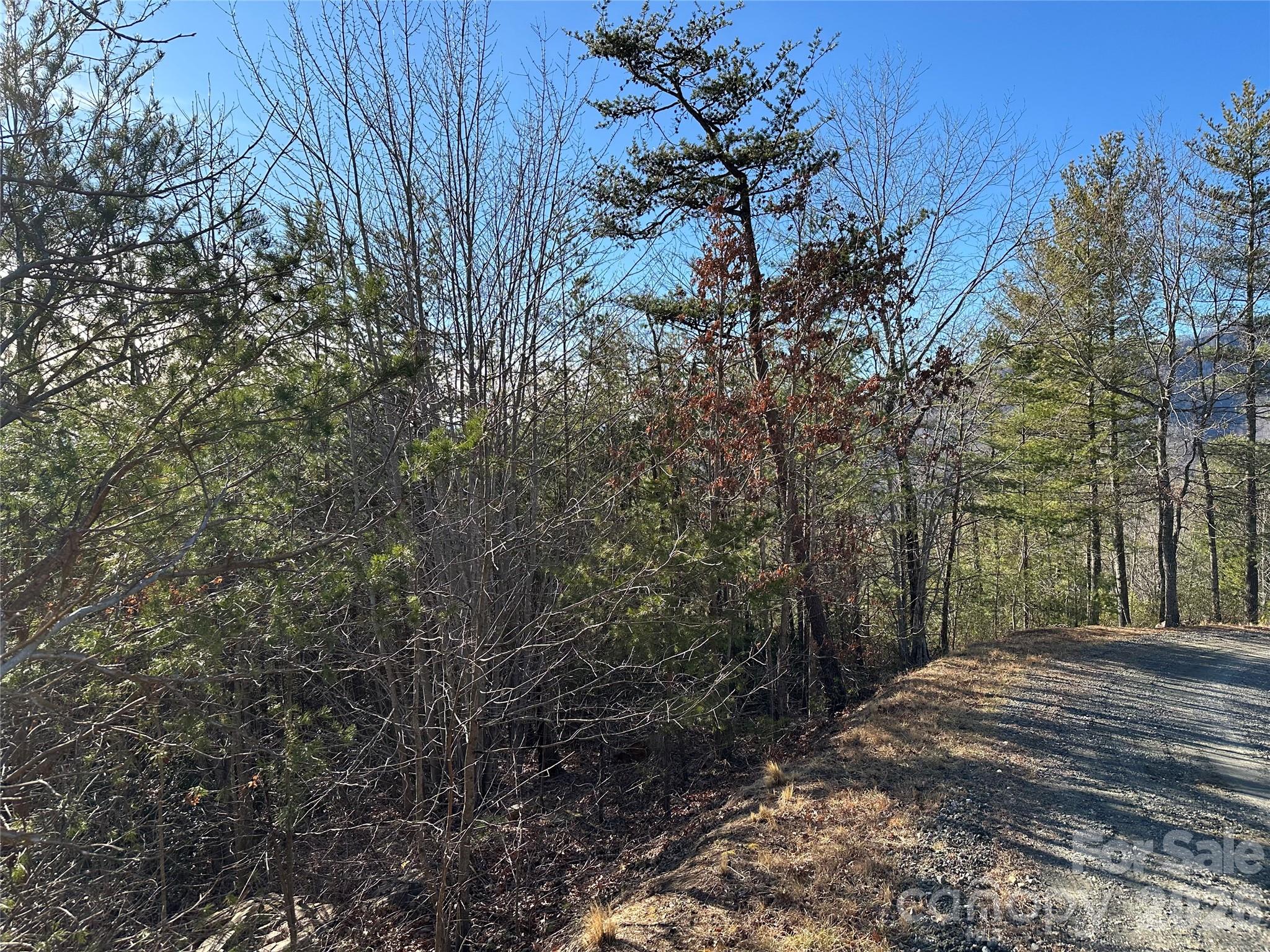 0 Fox Ridge Trail, Unit 57 Marion, NC 28752 - Photo 2 of 16 a view of a yard with trees