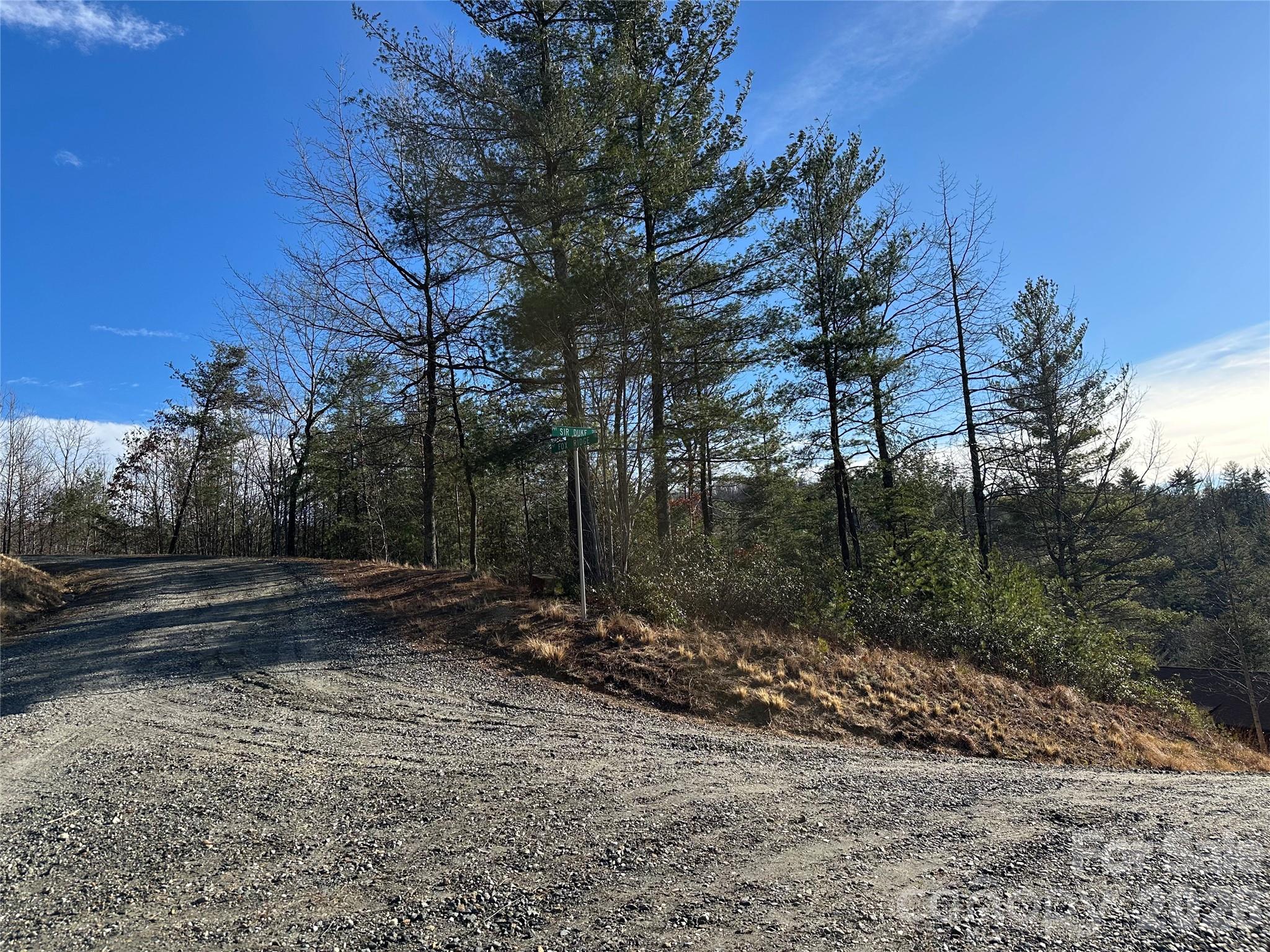 0 Fox Ridge Trail, Unit 57 Marion, NC 28752 - Photo 3 of 16 a view of a yard with wooden fence