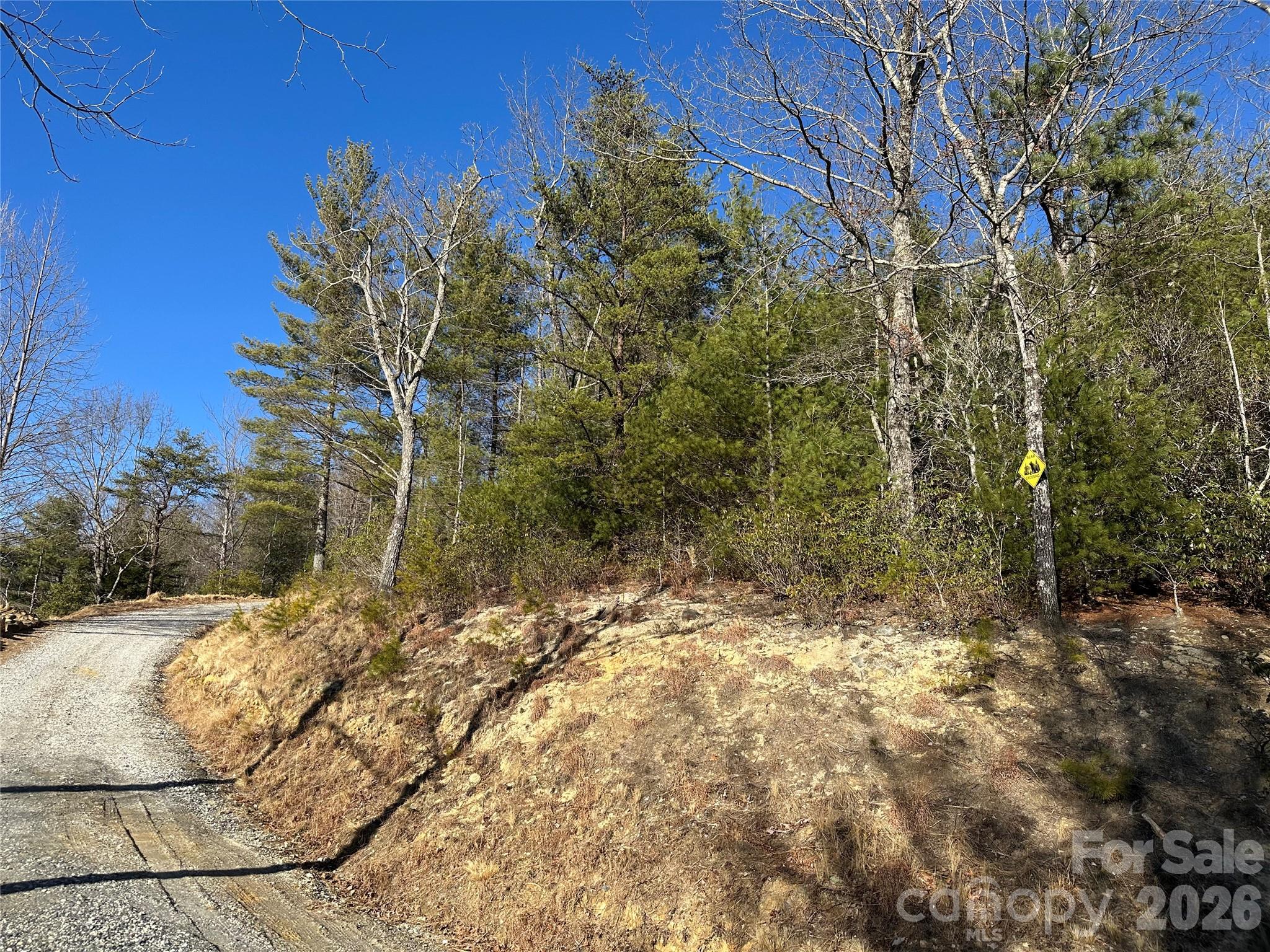 0 Fox Ridge Trail, Unit 57 Marion, NC 28752 - Photo 4 of 16 a view of a yard
