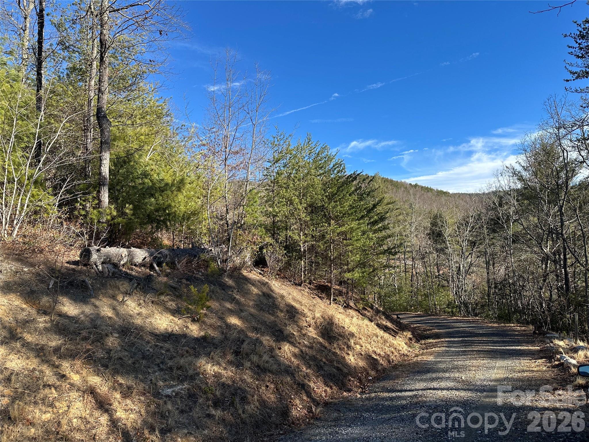 0 Fox Ridge Trail, Unit 57 Marion, NC 28752 - Photo 5 of 16 a view of a yard with mountain view