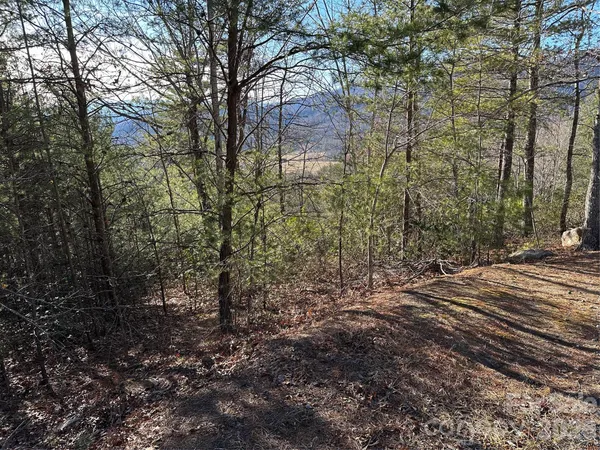 $25,000 | 0 Fox Ridge Trail, Unit 57, Marion, NC 28752