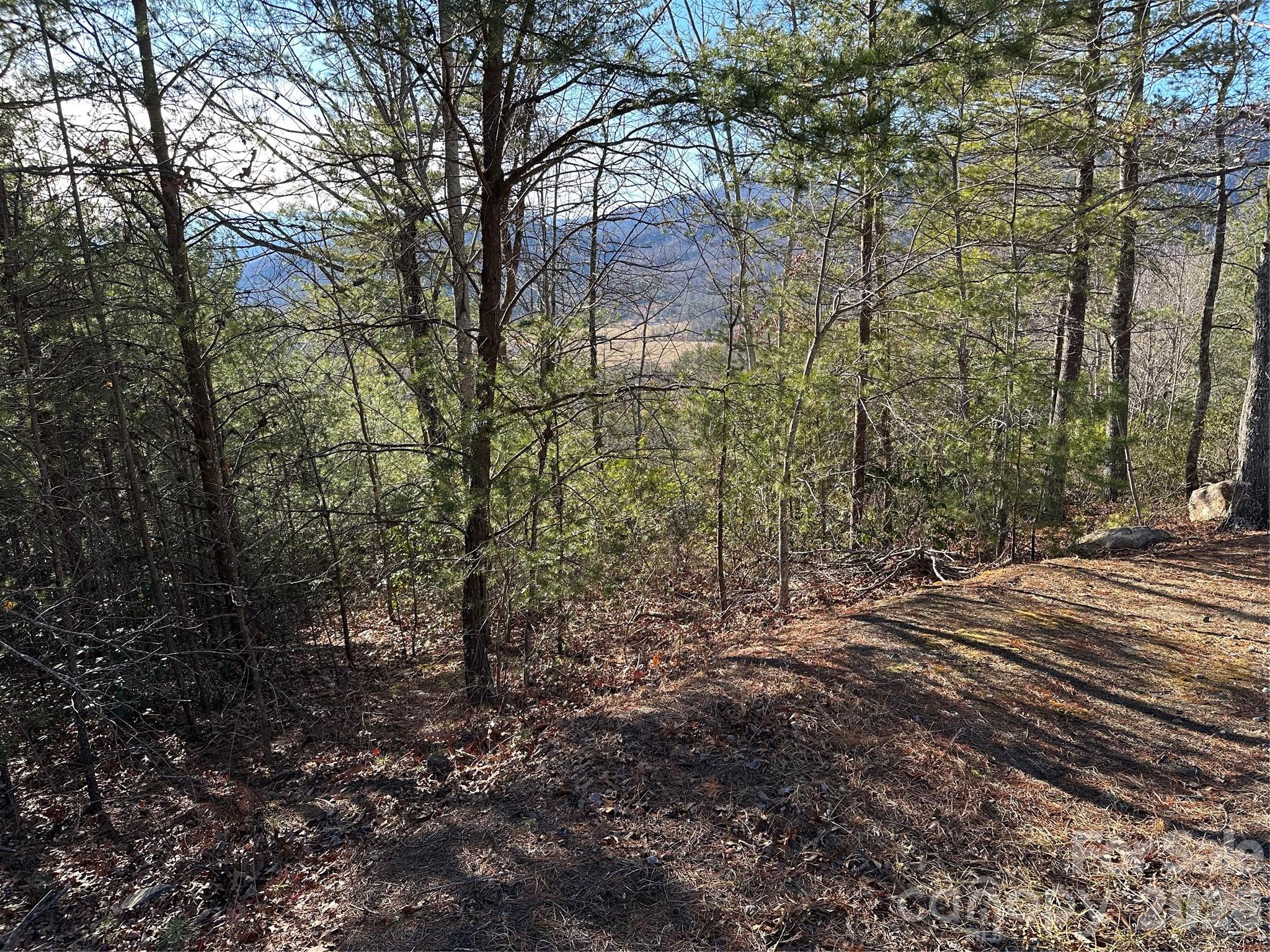 0 Fox Ridge Trail, Unit 57 Marion, NC 28752 - Photo 6 of 16 a view of a forest with trees