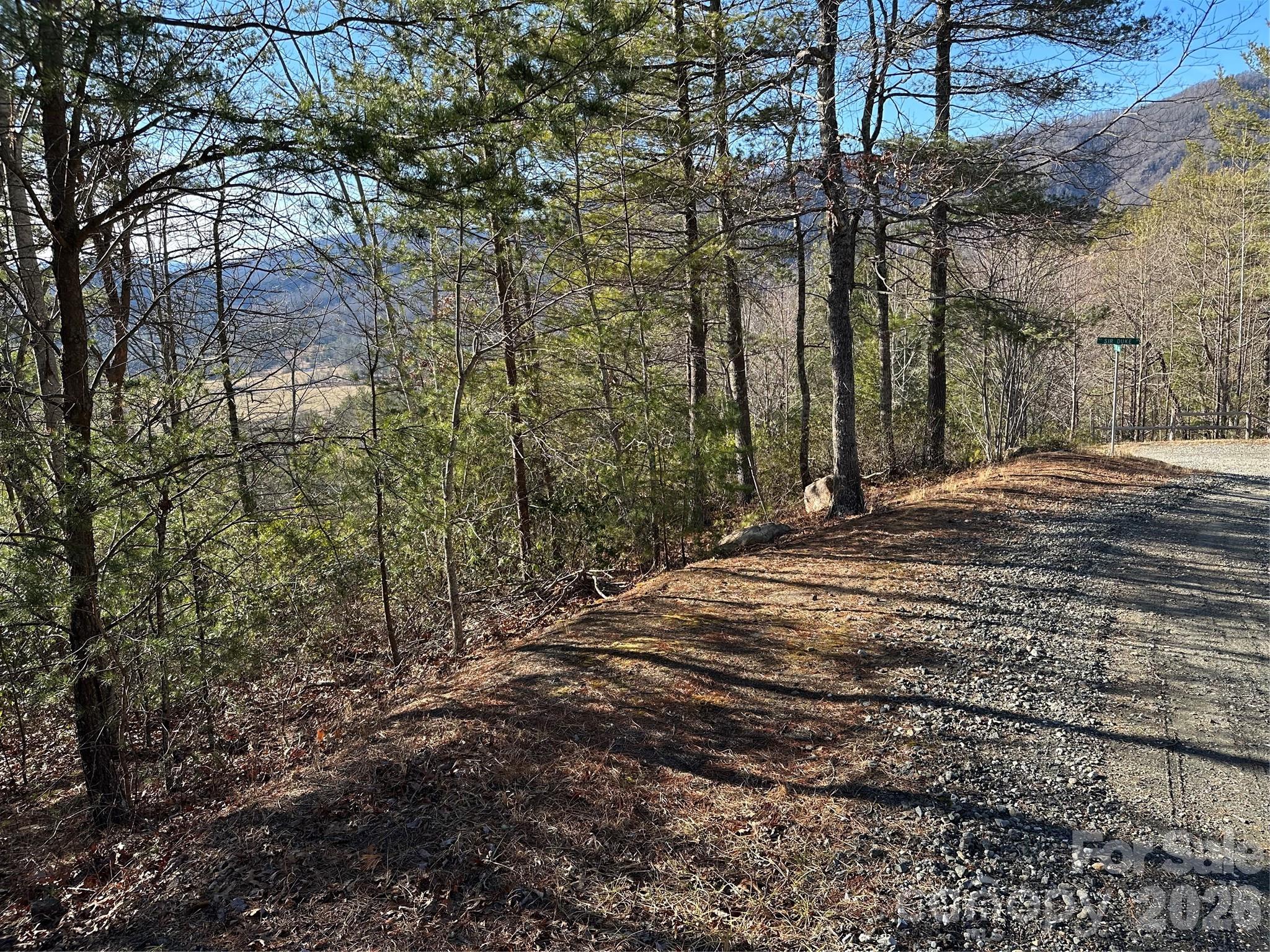 0 Fox Ridge Trail, Unit 57 Marion, NC 28752 - Photo 7 of 16 a view of a backyard of a house