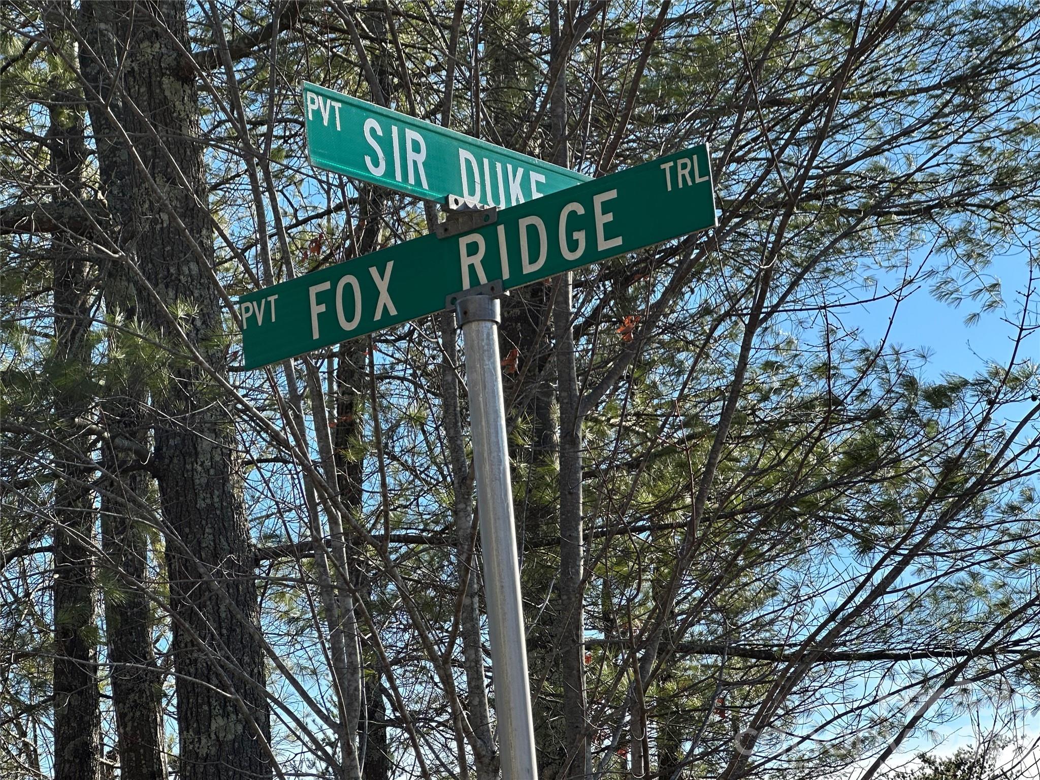 0 Fox Ridge Trail, Unit 57 Marion, NC 28752 - Photo 8 of 16 a view of street with sitting area
