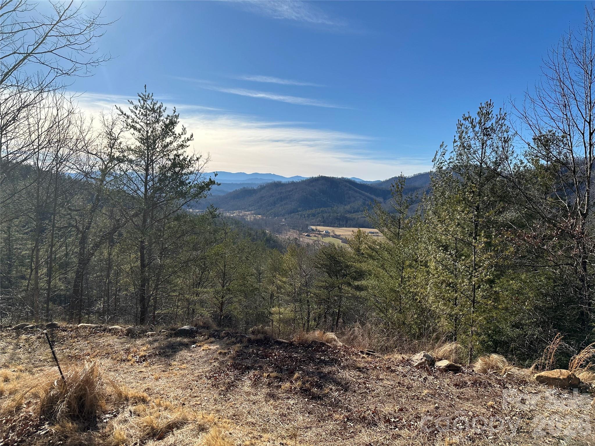 0 Fox Ridge Trail, Unit 57 Marion, NC 28752 - Photo 10 of 16 a view of a yard with a tree