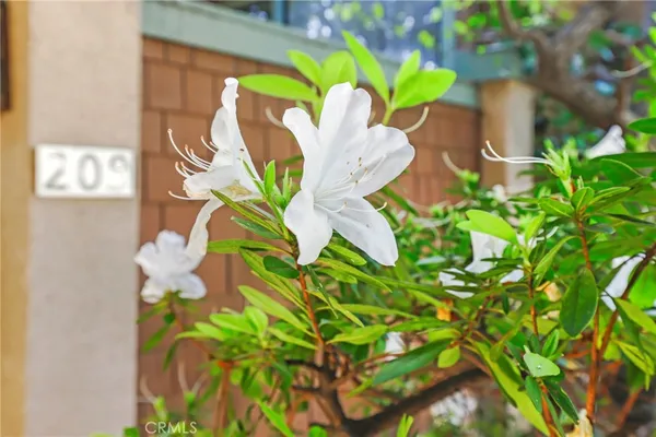 $1,280,000 | 209 South Oakland Avenue, Unit D, Pasadena, CA 91101