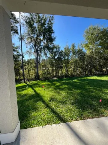 a view of a garden with a tree
