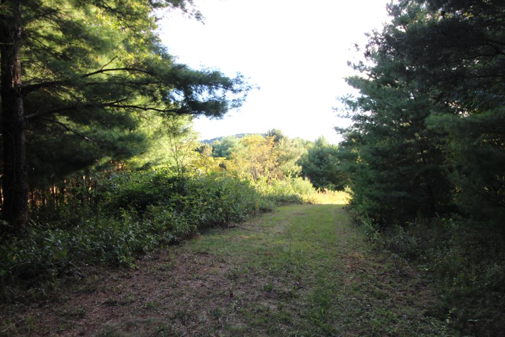 77 Joy Ranch Road, Unit 97A77 Woodlawn, VA 24381 - Photo 23 of 75 Gallery Image 23