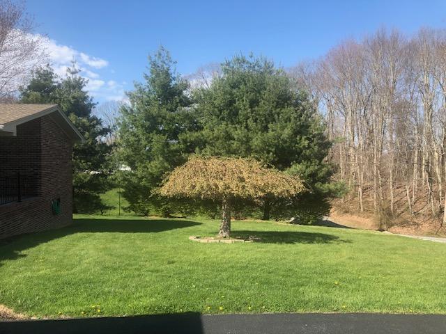 5107 Fairdale Road Wise, VA 24293 - Photo 16 of 56 front yard driveway