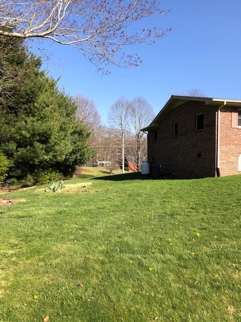 5107 Fairdale Road Wise, VA 24293 - Photo 10 of 56 back yard trees
