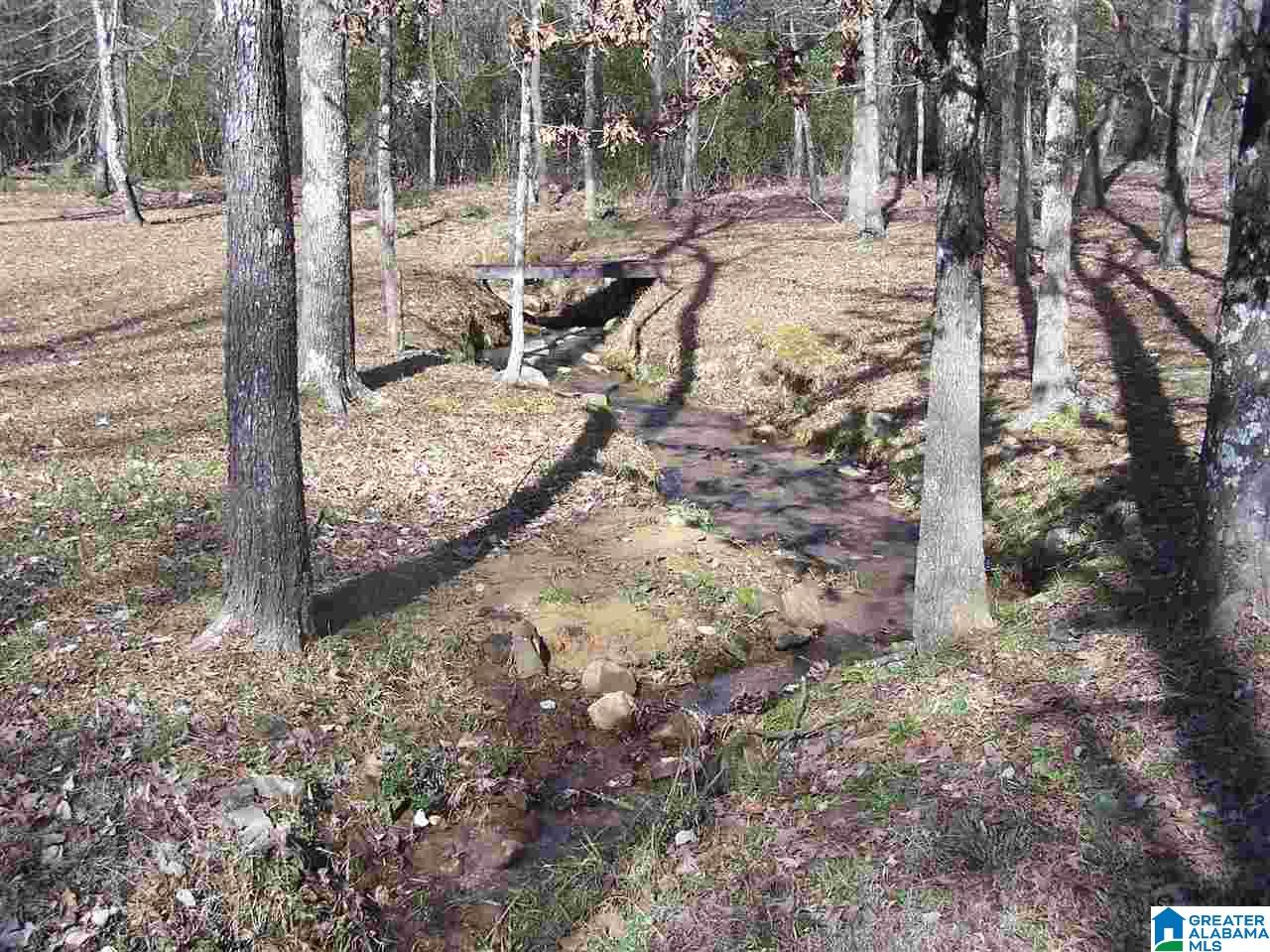4693 Highway 45 Hayden, AL 35079 - Photo 18 of 27