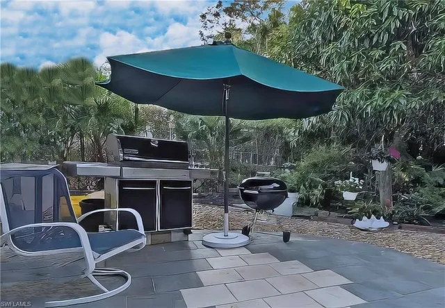 a view of a backyard with plants