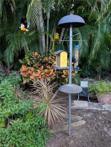 a view of a yard with plants