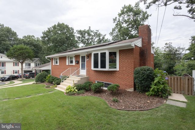 a view of a backyard with plants and a garden