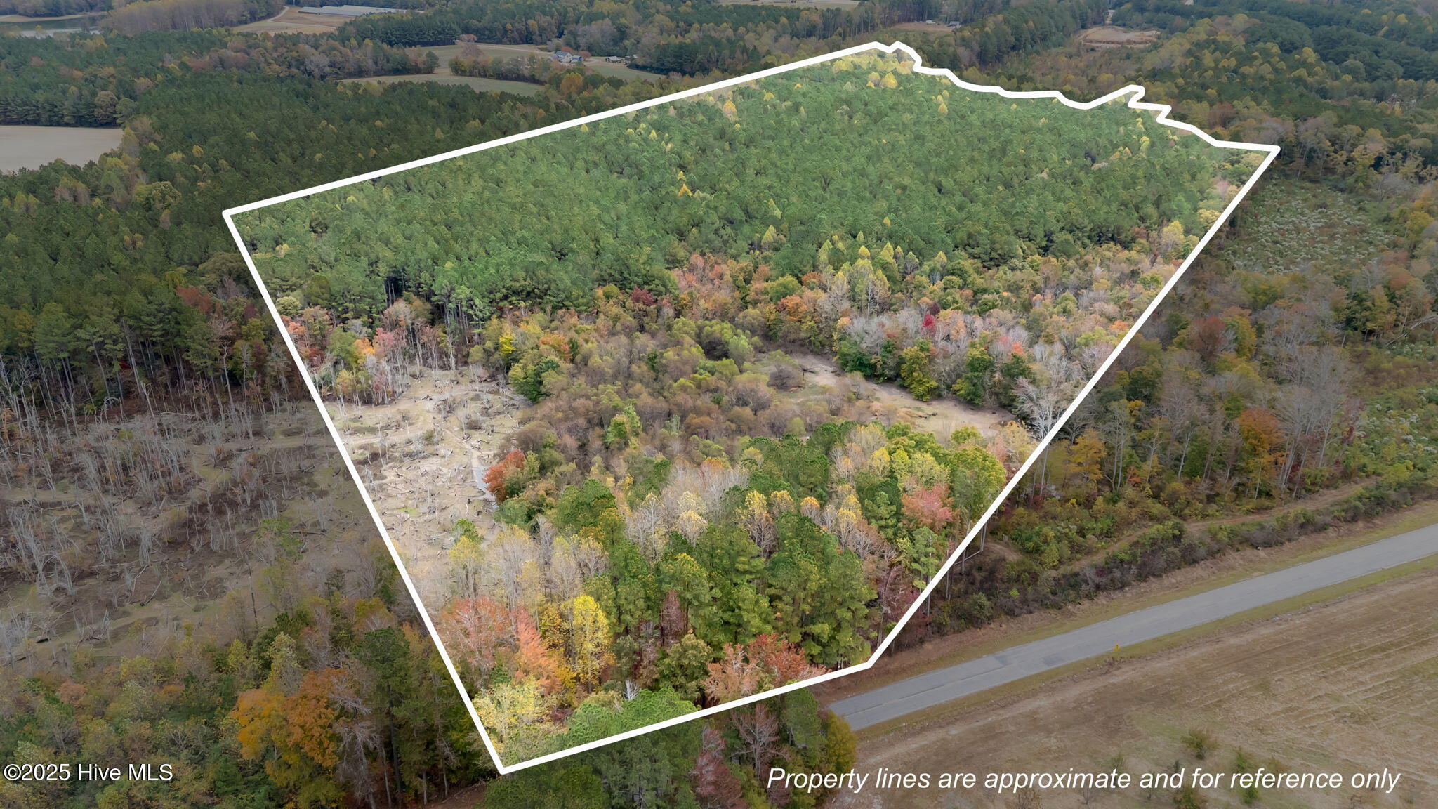 1915 Reams Road Spring Hope, NC 27882 - Photo 1 of 17 2-web-or-mls-DJI_20251027131122_0037_D_1