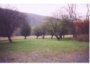 396 River Road Deposit, NY 13754 - Photo 3 of 5 Gallery Image 3
