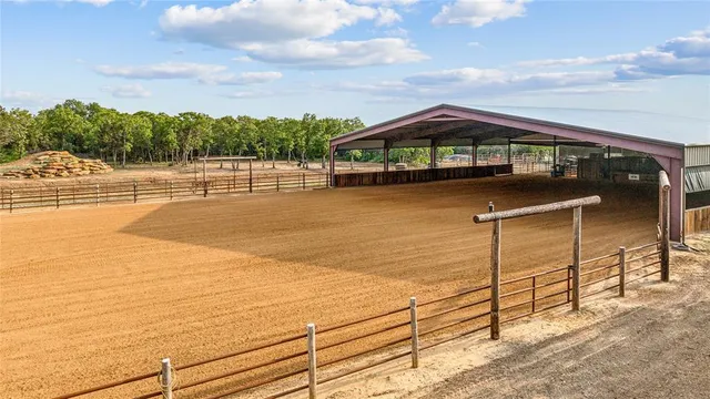 a view of a park with large trees
