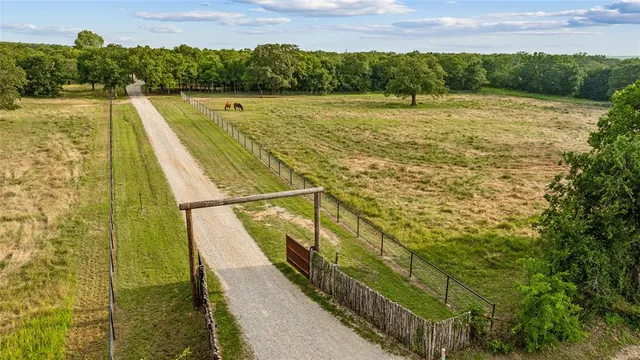 a view of a park with large trees