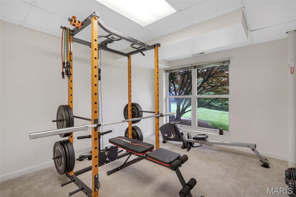 519 Castle Ridge Drive Ballwin, MO 63021 - Photo 39 of 46