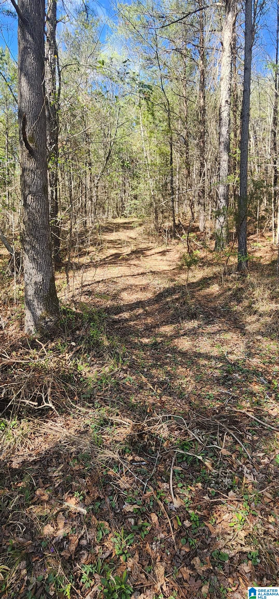 8383 Groundhog Road Adger, AL 35006 - Photo 45 of 59