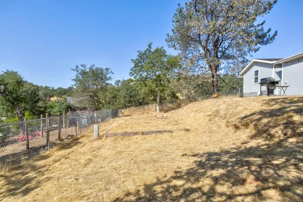 a view of a yard with a tree