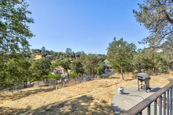 a view of a tree in the middle of a yard