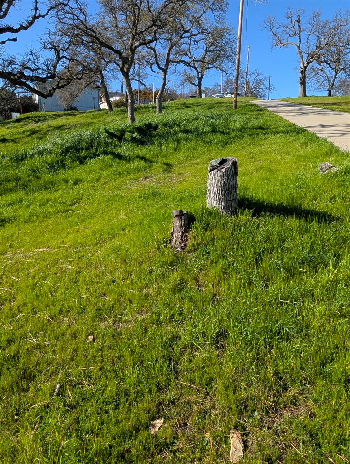 4991 Yuma Court, Unit 1829 Copperopolis, CA 95228 - Photo 9 of 45 Looking From the House back up the driveway