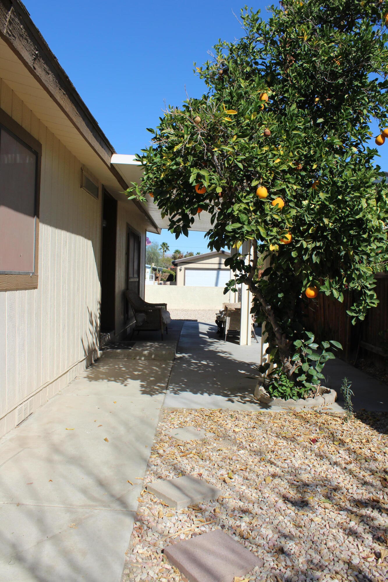 81641 Ave 48, Unit 95 Indio, CA 92201 - Photo 20 of 25 a view of a white house with a tree