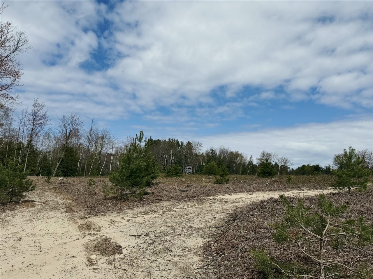 Vl South County Line Road Manistee, MI 49660 - Photo 14 of 23