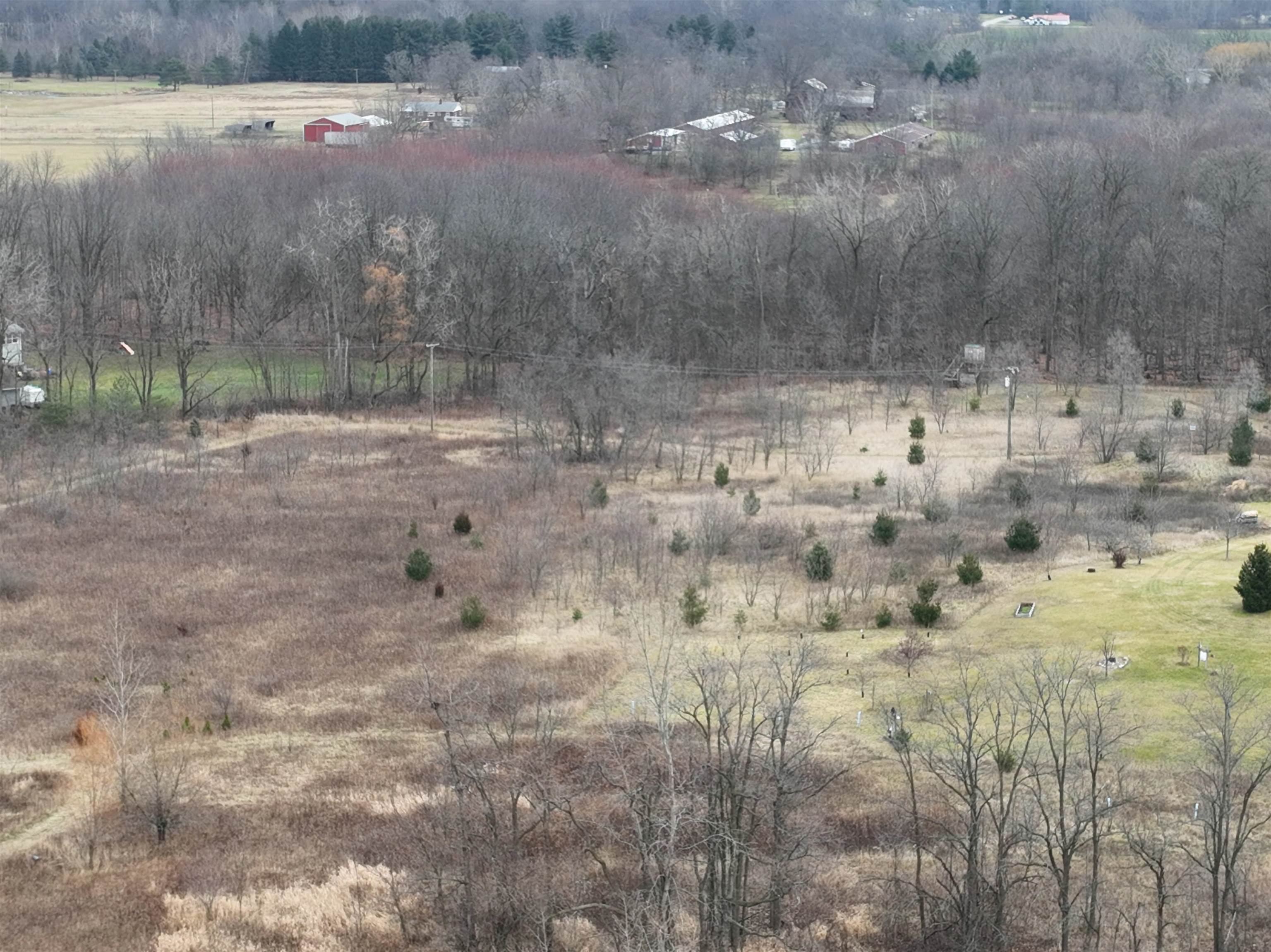 5233 Arbela Road Millington, MI 48746 - Photo 86 of 93 50086716-85.JPG
