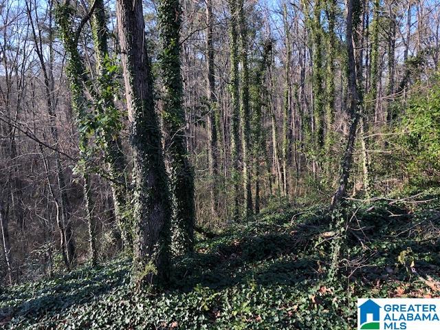 2854 Queenstown Road Trussville, AL 35173 - Photo 6 of 8