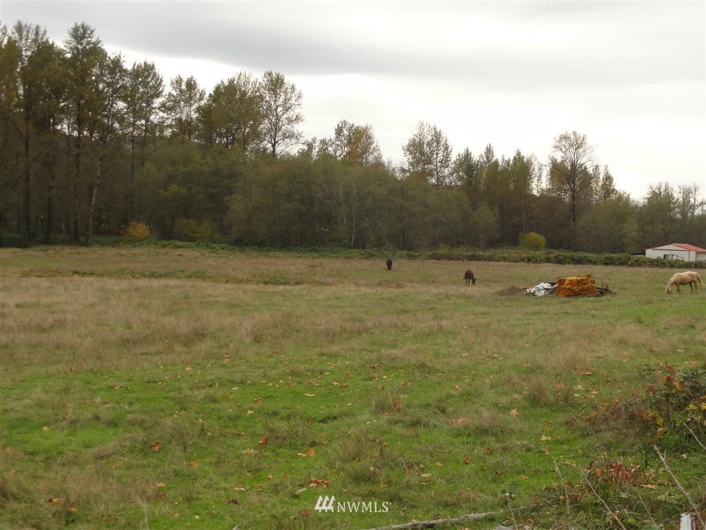 1150 Silverbrook Road Randle, WA 98377 - Photo 19 of 23 Gallery Image 19