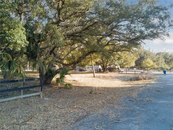 a view of road with trees