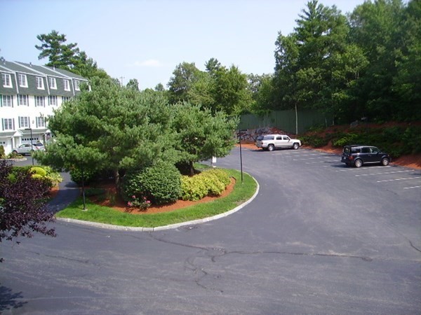 a view of a backyard with plants and a garden