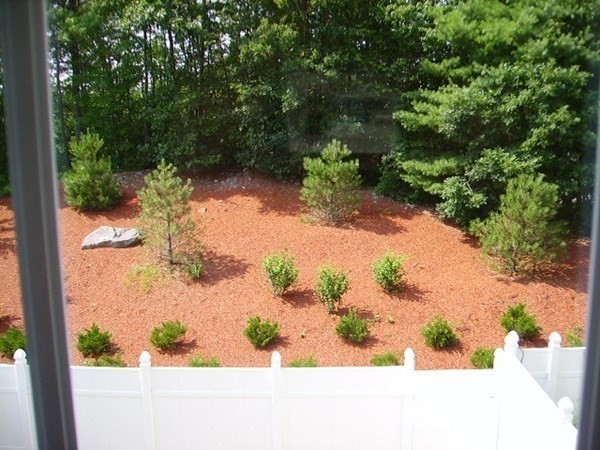 3 Dansereau Place, Unit 3 Middleton, MA 01949 - Photo 34 of 34 a view of a yard with a tree