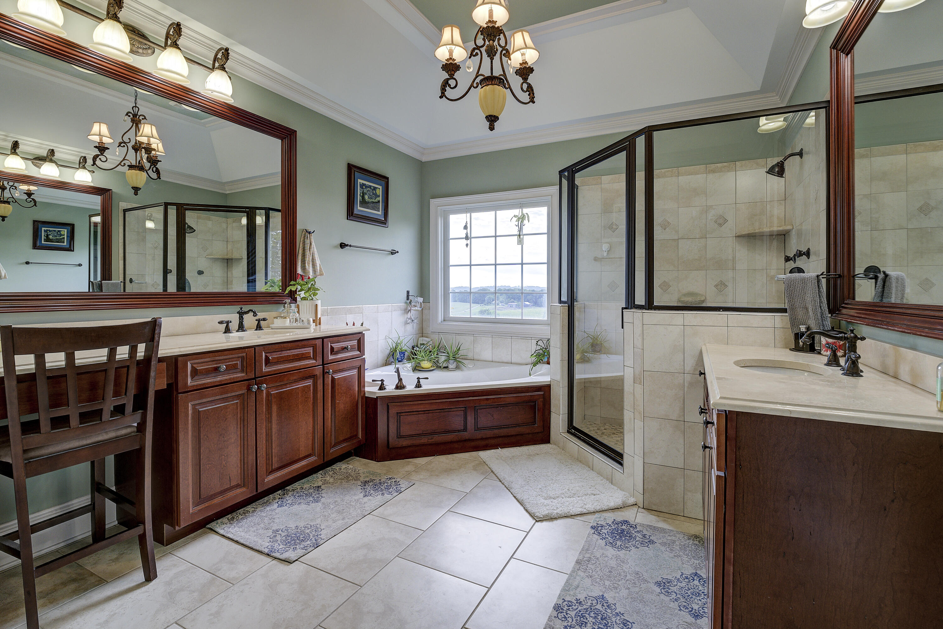 286 Sunset Ridge Court Gray, TN 37615 - Photo 35 of 62 Sunset-land-58