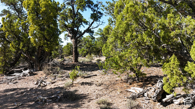 123 Tbd Prout Wash Road North Cedar City, UT 84721 - Photo 52 of 82