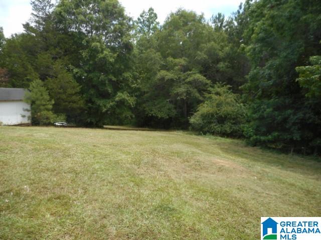 166 Kikers Camp Place Ragland, AL 35131 - Photo 15 of 17