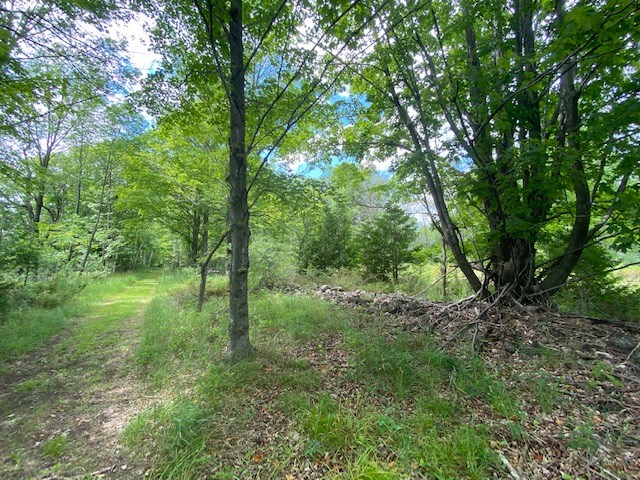 Lot 2 West Meadow Road Fish Creek, WI 54212 - Photo 11 of 40