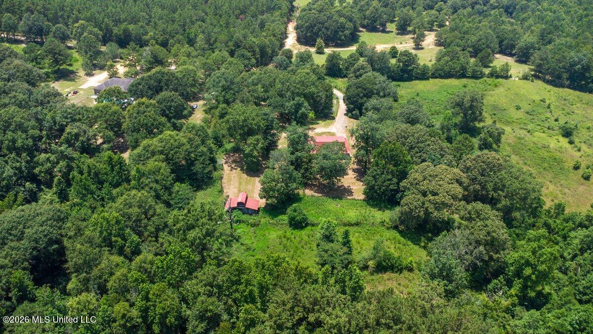 107 Peterson Road Purvis, MS 39475 - Photo 5 of 34 DJI_0176