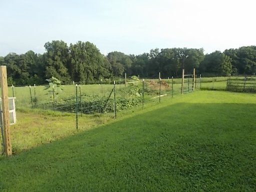 1935 Roslin Road Jamestown, TN 38556 - Photo 11 of 35 Additional Photo