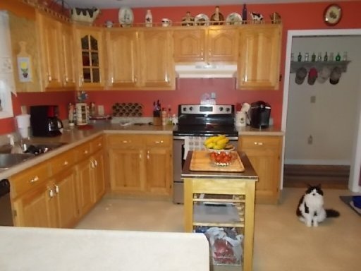 1935 Roslin Road Jamestown, TN 38556 - Photo 19 of 35 Additional Photo
