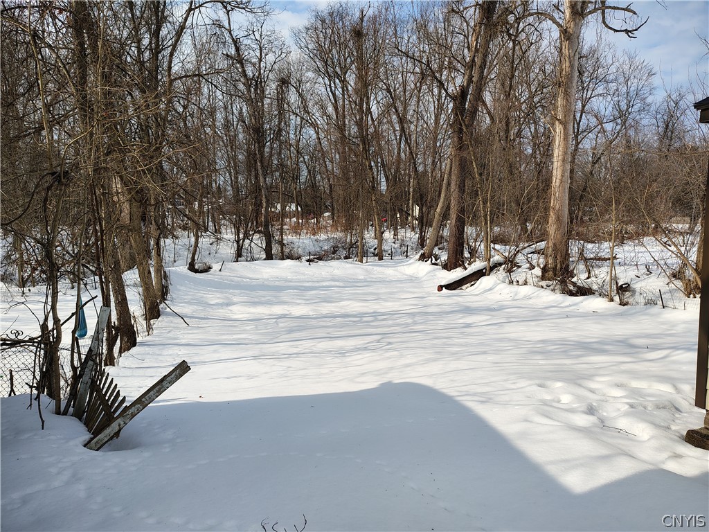 623 West Thomas Street Rome, NY 13440 - Photo 45 of 45