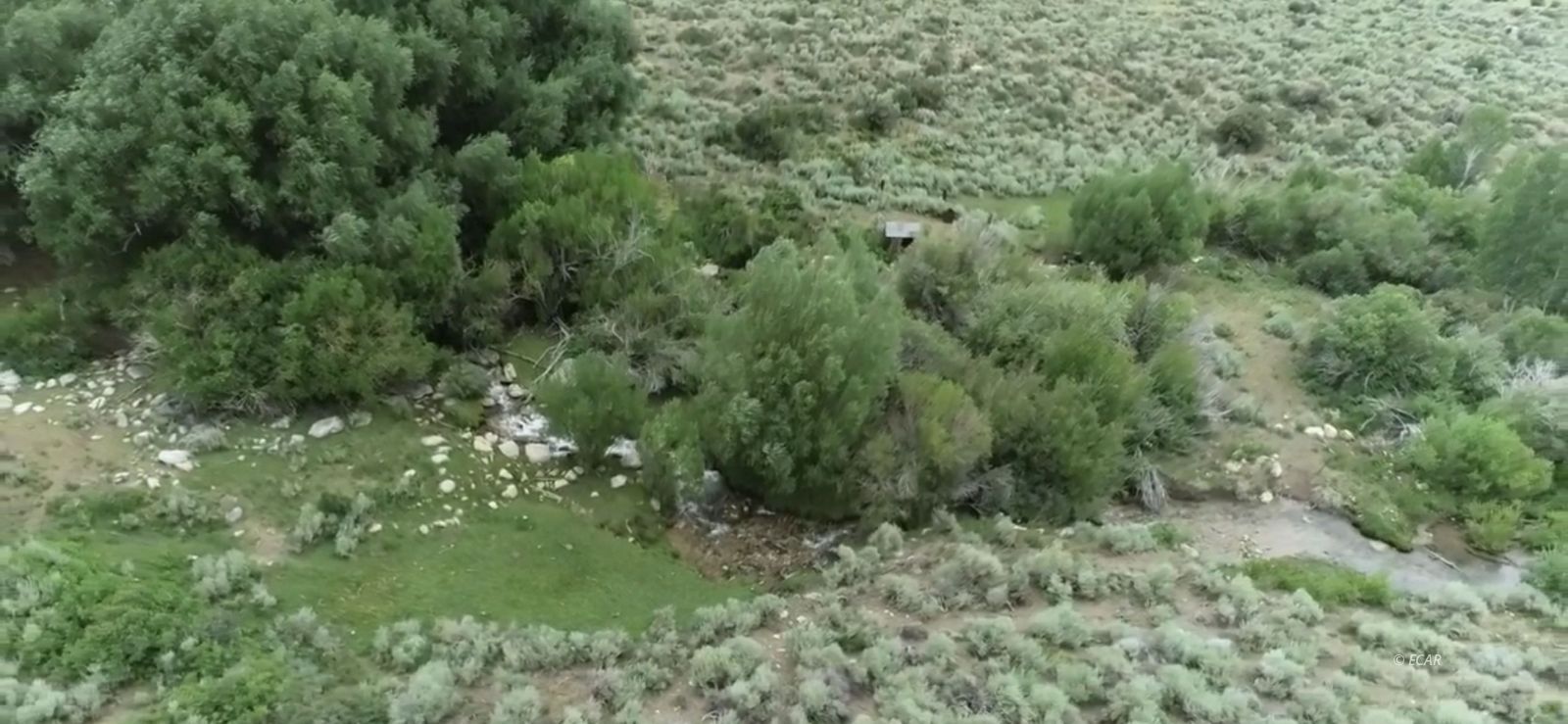 1541 Clover Valley Road Wells, NV 89835 - Photo 28 of 29