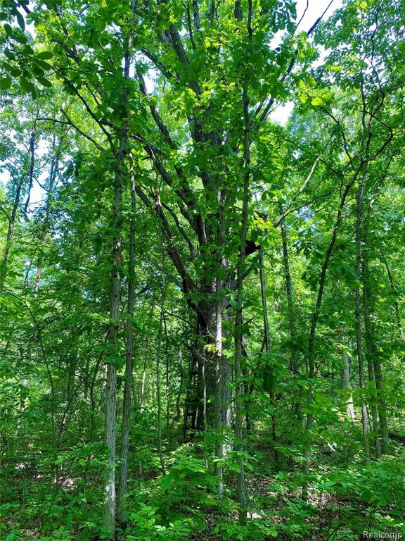 4 South Rushton Road South Lyon, MI 48178 - Photo 13 of 19
