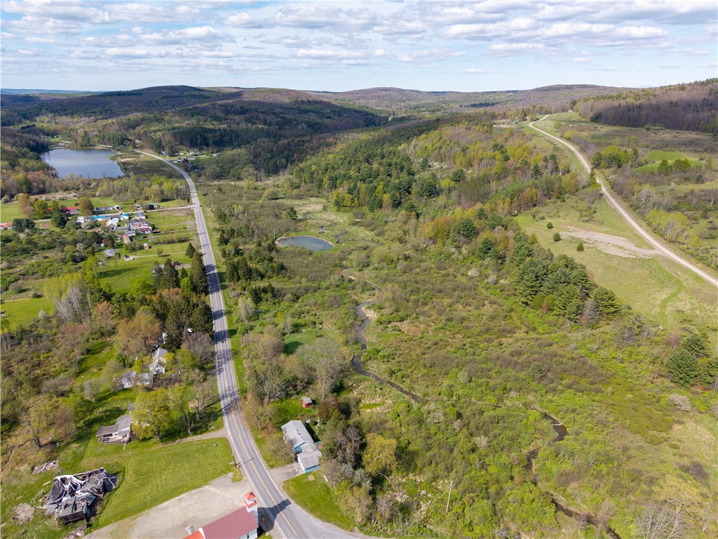 0 County Route 13 Bath, NY 14810 - Photo 13 of 26