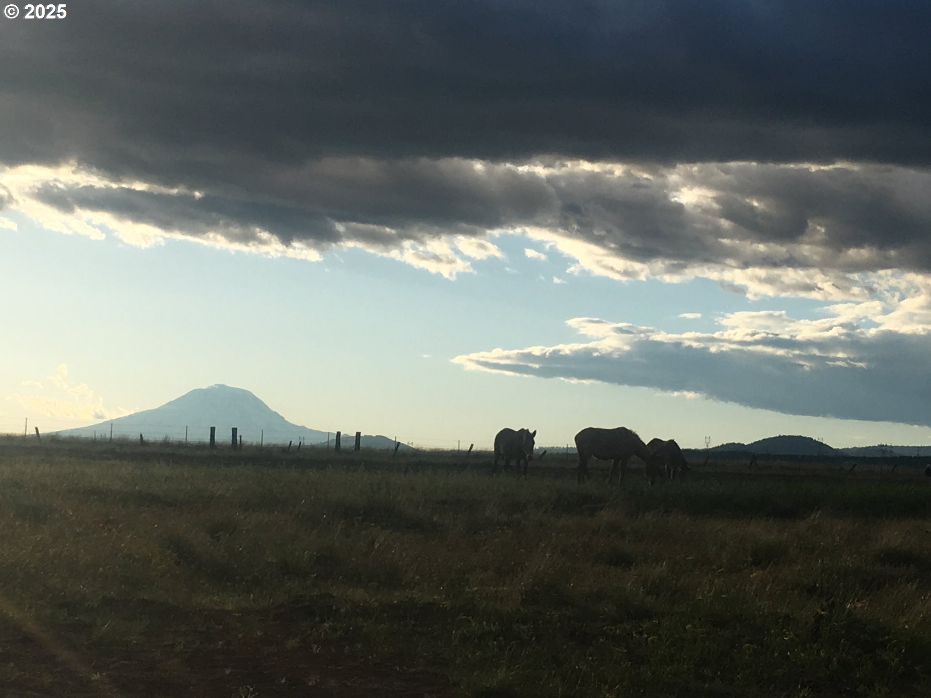 0 North Fairgrounds Road Goldendale, WA 98620 - Photo 13 of 48